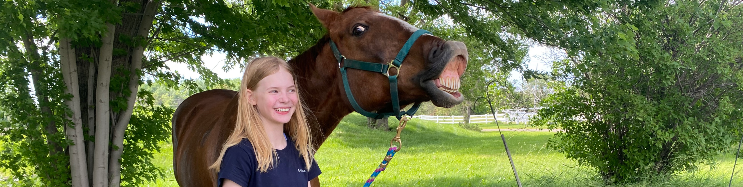 The Joys of Being a Horse Mom