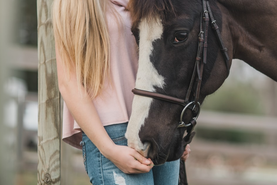 Fun Activities for Equestrian Families
